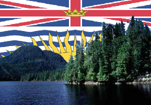 BC Forest