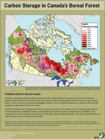Manitoba Wildlands Boreal Forests Reports