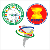 COMIFAC, ASEAN, andACTO logos