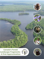 Canada's forests report cover