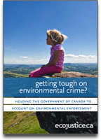 Ecojustice report cover