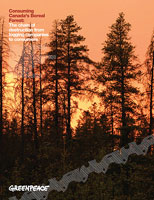 Greenpeace Report cover