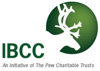 IBCC logo