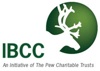ibcc logo