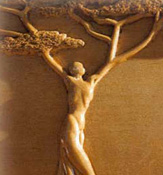 IUCN Award