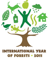 International Year of Forests logo