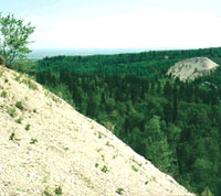 Manitoba Escarpment