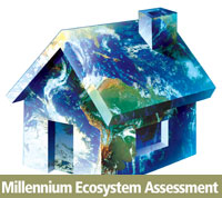 Millennium Ecosystem Assessment logo