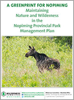 Wilderness Committee report cover