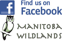 Manitoba Wildlands and Facebook