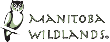 Manitoba Wildlands logo