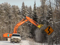 Removing Trees