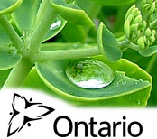 Ontario image and logo