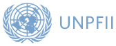 UNPFII logo