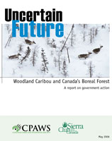 Uncertain Future cover