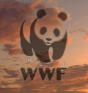 WWF Logo