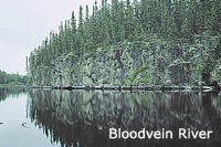 Bloodvein river