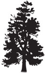 Boreal.web.ca logo