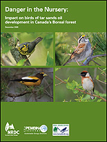 NRDC report cover image