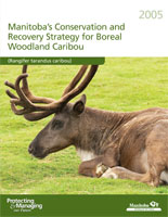 MB Conservation caribou report cover