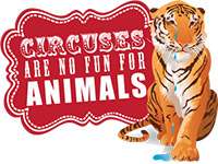 Photo of circuses are no fun logo