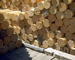 lumber