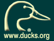 Ducks unlimited USA logo