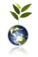 Earth Plant