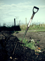 fork in soil