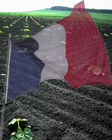 Farmers field with France's flag