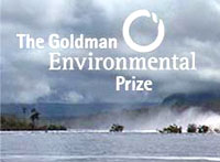 Goldman prize logo
