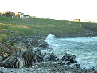 Gull Island