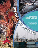 Report cover image