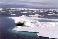 Artic ice flow