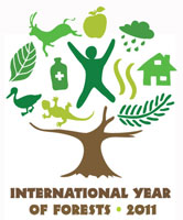 International Year of Forests logo