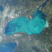 photo of blue algae in Lake Ontario