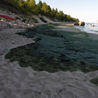 Lake Winnipeg Algae