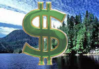 Money forest image