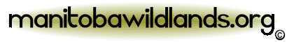 ManitobaWildlands.org logo