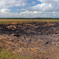 peat mining