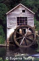 Old fashioned water wheel