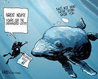 Whale cartoon