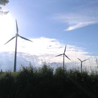 wind turbines in field