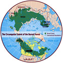 NRCAN circumpolar boreal map